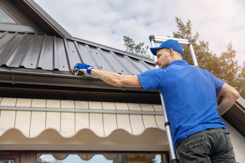 Gutter Cleaning Services